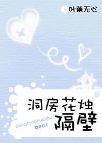 洞房花烛 隔壁 增修版:全文+番外TXT全集封面
