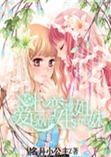 爱上孪生公主TXT全集封面