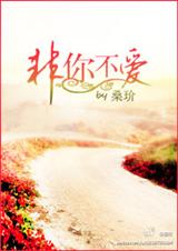 非你不爱TXT全集封面