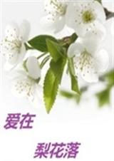 爱在梨花落TXT全集封面