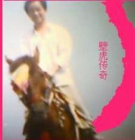 壁虎传奇TXT全集封面
