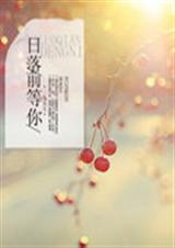 日落前等你TXT全集封面