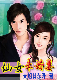 仙女未婚妻TXT全集封面