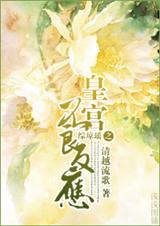 综琼瑶之皇宫不良反应TXT全集封面
