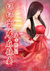 坏坏首席麻辣妻TXT全集封面