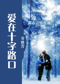 爱在十字路口TXT全集封面