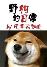 野狗的日常TXT全集封面