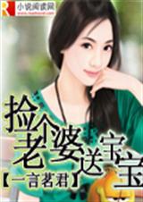 捡个老婆送宝宝(完结)TXT全集封面