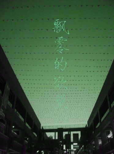 飘零的爱情TXT全集封面