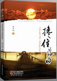 搀住落日TXT全集封面
