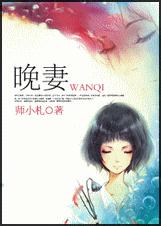 晚妻TXT全集封面