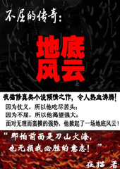 不屈的传奇:地底风云TXT全集封面