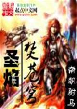 圣焰焚苍穹TXT全集封面