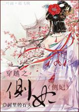 穿越之侧妃TXT全集封面