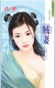 贼妻TXT全集封面
