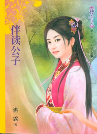 伴读公子TXT全集封面