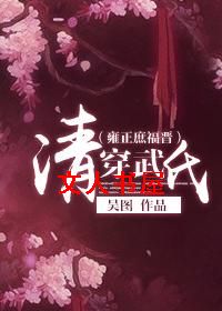 清穿武氏(雍正庶福晋)TXT全集封面