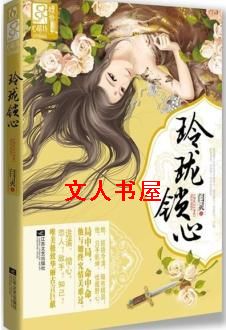 玲珑锁心TXT全集封面