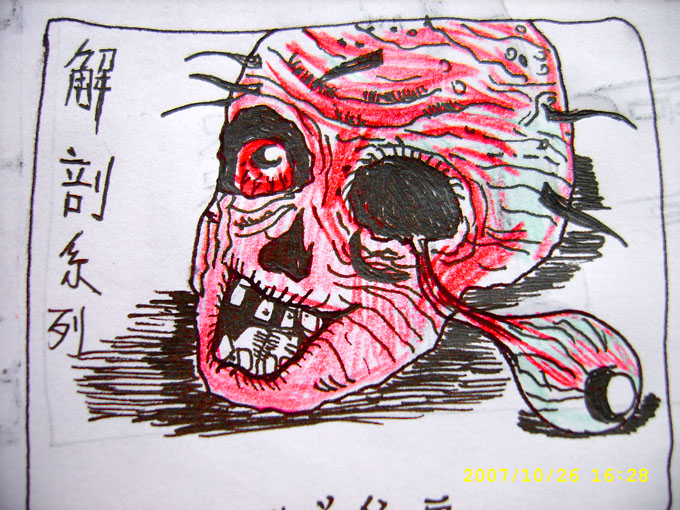 解剖之追忆尸水年华TXT全集封面