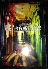 有鬼续2寻找阴间TXT全集封面