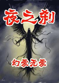 夜之刹TXT全集封面