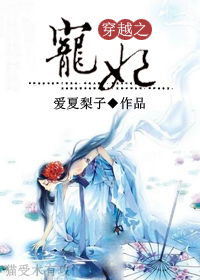 穿越之宠妃TXT全集封面