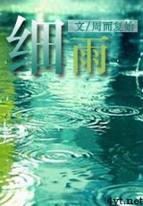 细雨TXT全集封面