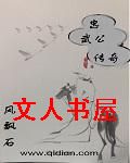 忠武公传奇TXT全集封面
