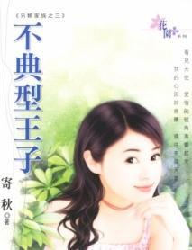 不典型王子TXT全集封面