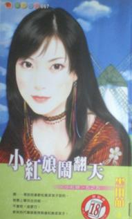 小红娘闹翻天TXT全集封面