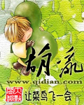 葫乱TXT全集封面