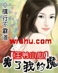王爷小心着了我的魔TXT全集封面