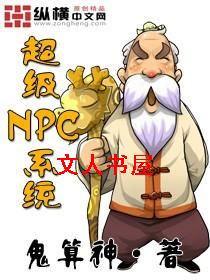 NPCϵͳ