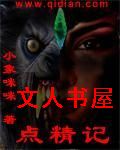 点精记TXT全集封面