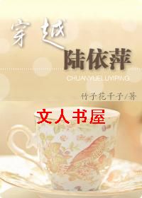 穿越陆依萍TXT全集封面