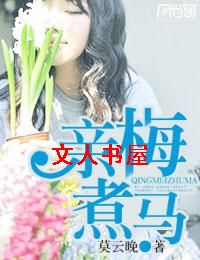 亲梅煮马TXT全集封面