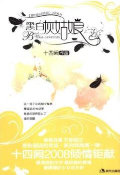 黑白灰姑娘TXT全集封面