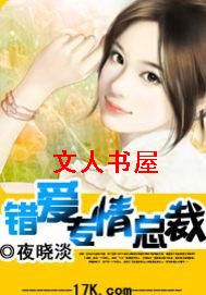 错爱专情总裁TXT全集封面