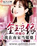 金玉良缘我在南宋当媒婆TXT全集封面