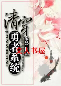 清穿勇者系统TXT全集封面