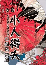 小人得夫(女尊)TXT全集封面