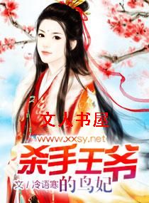 杀手王爷的鸟妃TXT全集封面
