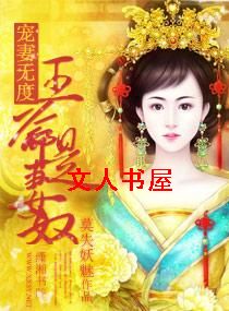 宠妻无度一王爷是妻奴TXT全集封面