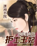 护士王妃TXT全集封面