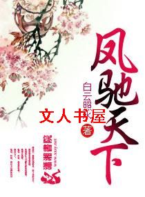 凤驰天下TXT全集封面