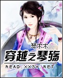穿越之琴殇TXT全集封面