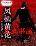 凤栖黄花TXT全集封面