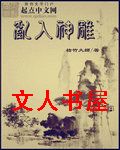 乱入神雕TXT全集封面