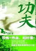 功夫TXT全集封面