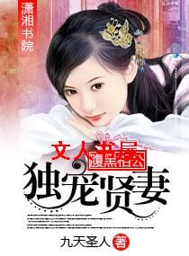 腹黑相公独宠贤妻TXT全集封面